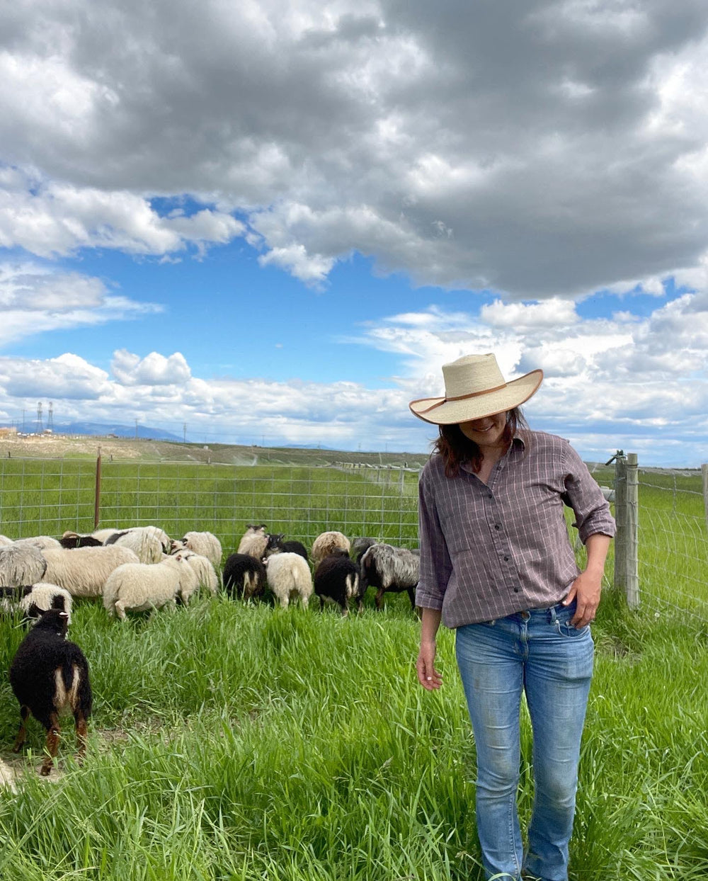 A BRIEF HISTORY OF SHEEP SHEARING TOAST MAGAZINE