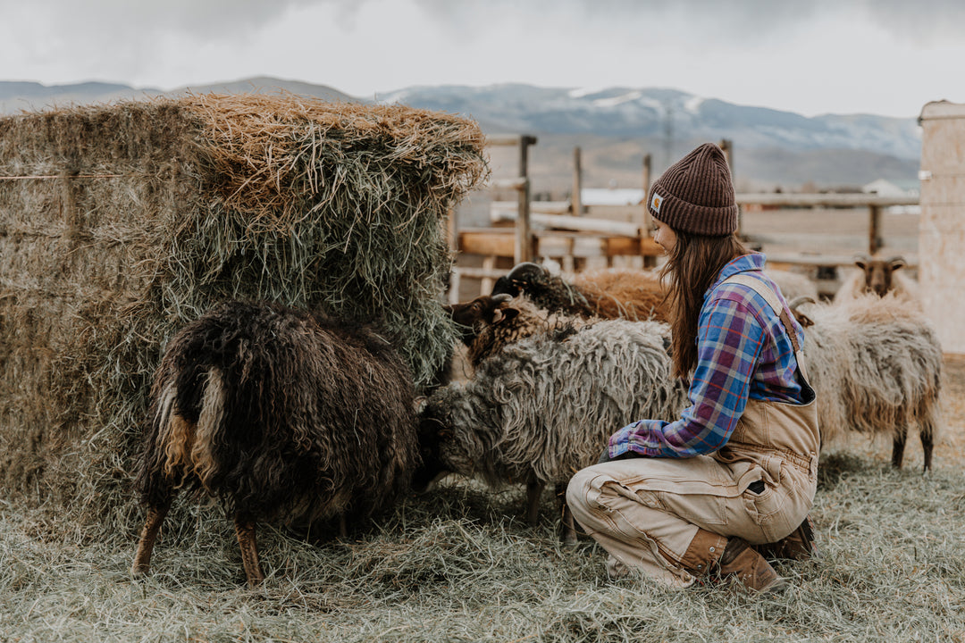 What the Hay?! How, Why, and What We Feed During the Winter