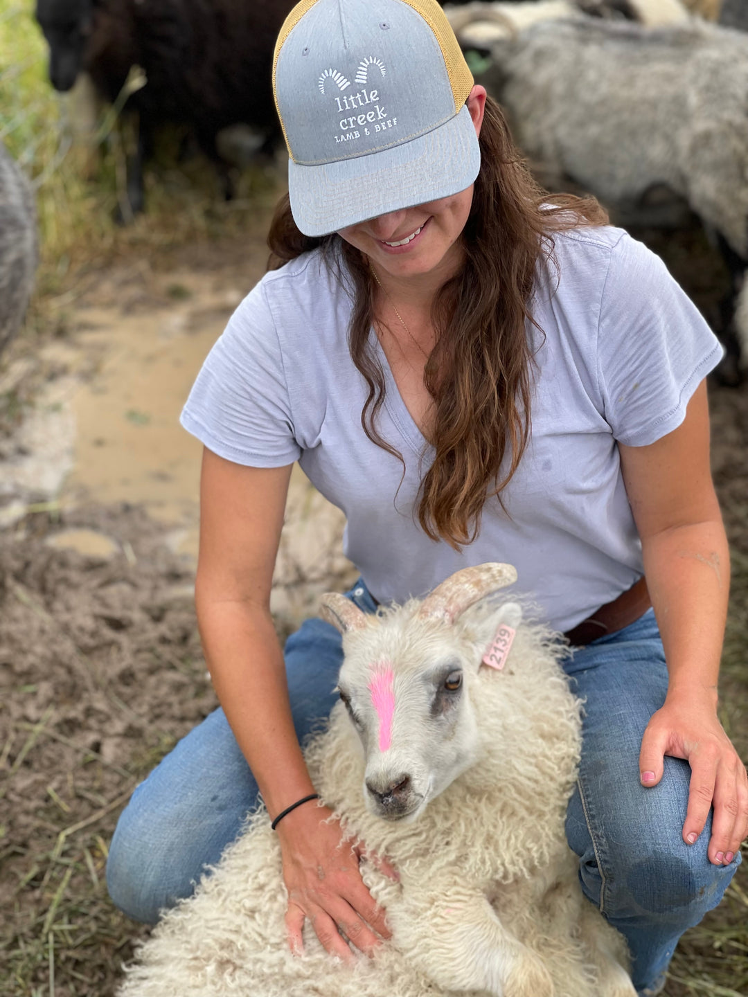 A Deep Dive into Sheep Shearing