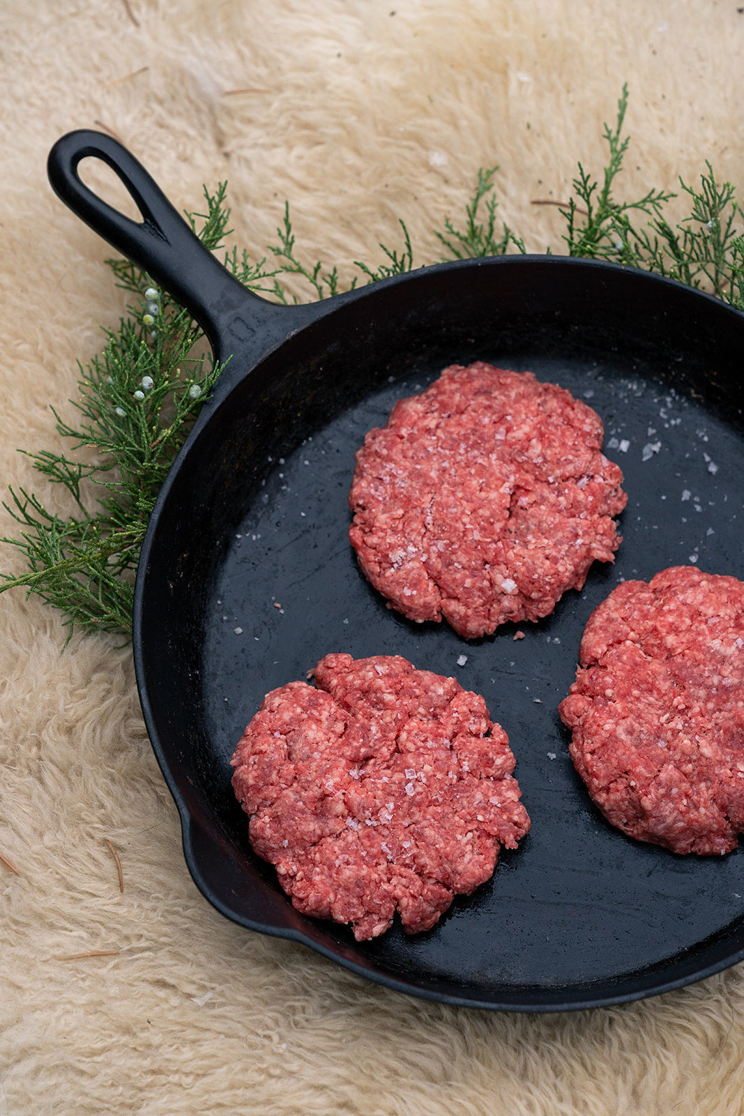 Dry Aged Ground Beef Patties