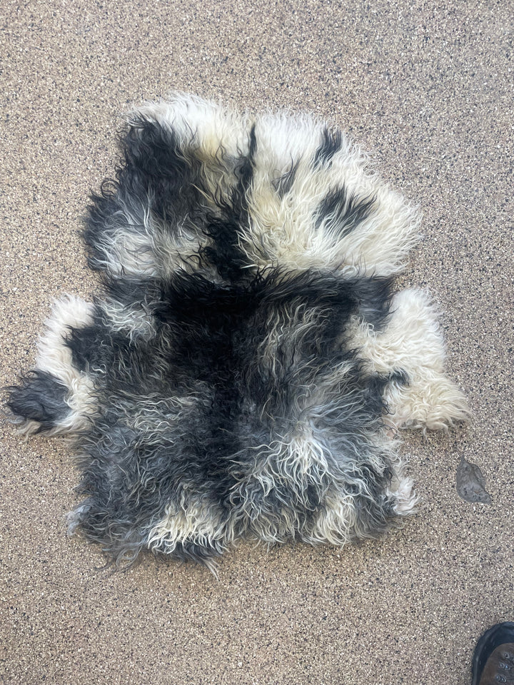 PAINT - Icelandic Sheepskin M - Black & White