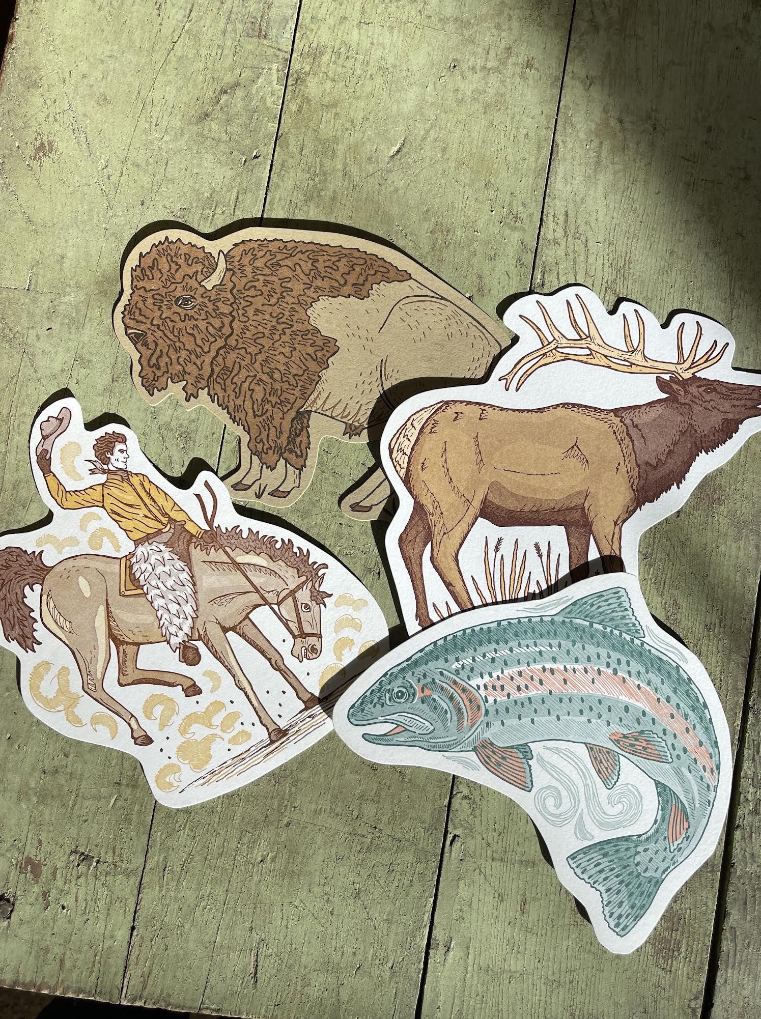 Wildlife Postcards